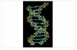 replication of viral DNA II - Microbe · DNA Replication •Viruses must replicate their genomes to make new progeny •This always requires expression of at least one virus protein,