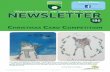 W S NEWSLETTER · The documentary explores the secrets of the misunderstood but super successful weasel ... Year 10s and Year 11s have been given revision guide letters; please complete