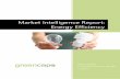 Market Intelligence Report: Energy Efficiencygreen-cape.co.za/assets/Uploads/GreenCape-MIR-Energy-Efficiency.pdf · implementing energy efficiency. The International Energy Agency
