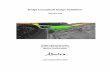 Bridge Conceptual Design Guidelines V2.0 Final...Bridge Conceptual Design Guidelines 6 5/3/2016 As bridges are expected to have a minimum design life of 75 years (50 years for culverts),