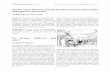 The Dr. Seuss Museum and His Wartime Cartoons about Japan …apjjf.org/-Richard-Minear--Sopan-Deb/5063/article.pdf · newspaper, World War II propaganda, cartoons, wartime representations