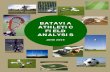 BATAVIA ATHLETIC FIELD ANALYSIS - buildinggenesee.combuildinggenesee.com/.../2016/01/Draft-Final-Batavia... · supported youth sports programs as evident in 1982 when the Batavia