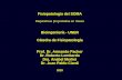 Fisiopatología del SOMA - Federación Argentina de ...acetilcolina de la membrana postsináptica de la placa motora. Fisiopatología: la disminución de receptores de acetilcolina