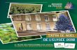 SAPIN DE NOËL DE LELYSÉE 2018 - Val'hor … · des sapins vendus en France sont cultivés en France. En achetant un sapin local, les familles et les services des espaces verts ...