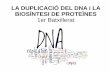 LA DUPLICACIÓ DEL DNA i LA BIOSÍNTESI DE PROTEÏNEScosmolinux.no-ip.org/.../Unitat10_transcripcio_NOU.pdf · 2020-05-05 · La regió promotora (P) és una part del DNA situada