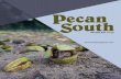 Media Kit 2019 - Pecan South Magazine · If you buy pecans, this guide is perfect for you! Many pecan growers use this guide as a reference source for pecan buyers and processors.