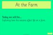 At the Farm · Do you know what the four seasons of the year are? The four seasons are spring, summer, autumn and winter. ... Spring is the season after winter when the weather starts