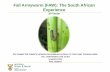Fall Armyworm ( FAW): The South African Experience...Fall Armyworm ( FAW): The South African Experience JH Venter Outline Acronyms Regulatory and policy documents Structure of the