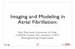Imaging and Modeling in Atrial Fibrillationmacleod/talks/NHLBI-VCU-MacLeod.pdf · dent’s t-test was used to compare continuous variables and Chi-square test to compare proportions.