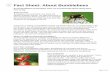 1 Fact Sheet: About Bumblebees - Amazon Web …...Buzz pollination Only bumblebees are capable of buzz pollination. This is when the bee grabs the flower and produces a high-pitched