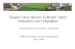 Sugar Cane Sector in Brazil: labor indicators and …...Sugarcane Fontes: IBGE (Vegetação) e CTC (Cana) The Sugar Cane Sector in Brazil: Overview To produce: - 5.8 billion gallons