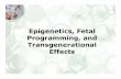 Epigenetics, Fetal Programming, and Transgenerational Effects · 2018-08-13 · Fetal Programming • Maternal under-nutrition • Maternal over-nutrition • Paternal under-nutrition