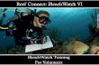 Reef Connect: BleachWatch VI...•Recreational snorkelers/divers can submit brief surveys about reef health •Provides a snapshot of local reefs to scientists and managers which can