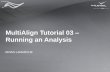 MultiAlign Tutorial 03 Running an Analysis...About this tutorial This tutorial provides an introduction to the graphical user interface (GUI) This tutorial will walk you through each