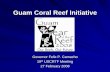 Guam Coral Reef InitiativeGuam Coral Reef Initiative Governor Felix P. Camacho 19th th USCRTF Meeting USCRTF Meeting 27 February 2008 Coral Reefs are the Foundation of Our Way of Life