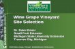 Wine Grape Vineyard Site Selection...General Viticulture, by A.J. Winkler, Pub by University of Calif Press, Berkeley, 1965. 633 pp. Vineyard Establishment I; Preplant Decisions, by
