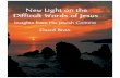 New Light on the Difficult - Our Rabbi Jesus · man, the historical Jesus of Nazareth. I encountered Rav Yeshua (the Rabbi Jesus). The first Jerusalem scholar that I met on that fateful
