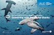 Swimming with the Digital Sharks - Home | Feldman Creative...• Communications platform as a service (CPaaS)—Companies lease entire elements of their communications infrastructure,