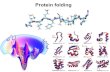 Protein folding - SimBacThe folding mechanism: A polypeptide chain has an almost unfathomable number of possible conformations. How can proteins fold so fast? 1. The physical folding