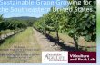 Sustainable Grape Growing for the Southeastern United Statesnwdistrict.ifas.ufl.edu/phag/files/2018/03/Sustainable-Viticulture-for-the...Texas Since 1889 ‘Herbemont’ Grown Commercially