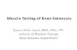 Muscle Testing of Knee Extensorslib.pt.cu.edu.eg/KNEE MANUAL MUSCLE TESTING.pdfVastus Intermedius Muscle Origin-Anterior and lateral surfaces of proximal 2/3 of body of femur.-Distal