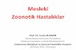 Mesleki Zoonotik Hastalıklaroedc2017.ftskongre.org/webkontrol/uploads/files/TURAN BUZGAN.pdf · Madde 14 ve Meslek Hastalıkları Tüzüğü 62. Madde’denuyarlama) • Mesleki