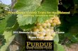 Wine Grape Variety Trials for the Midwest · Wine Grape Variety Trials for the Midwest Matching Varieties to Sites. ... Grape Varieties for Indiana (HO-221) Midwest Grape Production