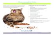 Overweight Pets · Obesity in our pets is a serious health issue. Sometimes we give our pets treats just because we love them. We may even give them some of our food or make sure