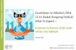 11.11 Global Shopping Festival: C2B What To Expect · 2016-10-12 · Countdown to . Alibaba’s 2016 . ... shopping event on 11 November to a shopping festival that covers a period