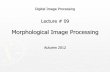 Digital Image Processing - University of Engineering and ... · Digital Image Processing Lecture # 9 10 Examples: Structuring Elements (2) Accommodate the entire structuring elements