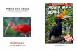 Weird Bird Beaks - Cabarrus County Schools · Weird Bird Beaks A Reading A–Z Level N Leveled Book Word Count: 530 Bird Beaks Visit for thosands o books and materials. Written by