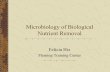 Microbiology of Biological Nutrient Removal · Biological Nutrient Removal (BNR) Systems Remove nitrogen and/or phosphorus Reduce oxygen requirements (denitrification) Reduce alkalinity
