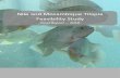 NILE & MOZAMBIQUE Tilapia feasibility study FINAL 2018 · aquaculture systems (RAS), pond culture, aquaponics, and cage culture. Globally pond culture is the most commonly utilised