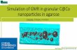 Simulation of GMR in granular C@Co nanoparticles in agarose · Simulation of GMR in granular C@Co nanoparticles in agarose P.Hainke, D.Kappe, A.Hütten. D2 Physics The Giant Magnetoresistance
