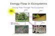 2.1 – Energy Flow in Ecosystems...Energy flow in ecosystems • Within an organism’s niche, the organism interacts with the ecosystem by: 1. Obtaining food from the ecosystem 2.