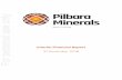 For personal use only - ASX...2019/02/19  · For personal use only 3 DIRECTORS’ REPORT Your Directors present their report on the consolidated entity consisting of Pilbara Minerals