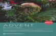 WEEKS 3-4 ADVENT - American Bible Society Newsassets.news.americanbible.org/uploads/publication/05-2018...Devotional An invitation to pause and savor the anticipation of Advent as
