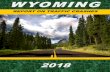 WYOMING · Wyoming Department of Transportation Highway Safety Program Michael Janicek 5300 Bishop Blvd Cheyenne, Wyoming 82009-3340 (307)777-3910. atthew D. Carlson, P.E. State Highway