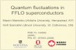 Quantum fluctuations in FFLO superconductorsonline.itp.ucsb.edu/online/coldatoms07/marienko/pdf/... · 2007-06-15 · Quantum fluctuations in FFLO superconductors Maxim Marienko (Hofstra