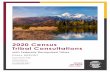 2020 Census Tribal Consultations...had primary responsibility for the tribal consultation meetings and the final report. Kauffman & Associates, Inc., an American Indian-owned firm,