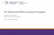NY Medicaid EHR Incentive Program · Webinar Logistics. 2. NY Medicaid EHR Incentive Program • Audio PIN • Q&A at the end