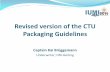 Revised version of the CTU Packaging Guidelines · Revised version of the CTU Packaging Guidelines Captain Kai Brüggemann Underwriter; HDI-Gerling . Structure of the presentation