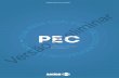 PS S - CONASEMS€¦ · 3 e-PS -PS PEC Para mais informações, consultar o Manual do PEC, no site da APS:  Problema/Condição Avaliada
