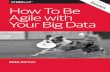 How to Be Agile with Your Big Dataassets.teradata.com/resourceCenter/downloads/Articles/...Agile, Big Data, and the Enterprise Data Warehouse Data analysis, like other pursuits, is