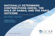 NATIONALLY DETERMINED CONTRIBUTIONS (NDCS), THE ROLE …ccap.org/assets/NedHelmePresentation_LACDialogue2016.pdf · climate change policymaking and international partnership! •