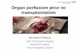 Organ perfusion prior to transplantation · Primer: •Heparin •Ringer’s lactate ... •Collaborative effort between transplantation and haematology •Approaches needed at a