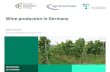 Wine production in Germany - Agri · Wine-growers association with own wine cellars Wine-growers with bulk production Winery with bottle marketing Sum Number Number 135 (52,000 members)