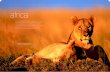 africa - The Ultimate Travel Company...Samburu, Ngorongoro, Naivasha, Serengeti, Amboseli, Selous, Zanzibar, Lamu… The breadth of landscape is awesome - from the jagged escarpments
