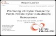 Promoting UK Cyber Prosperity: Public-Private Cyber ... · ♦ Insurance is part of the toolkit to manager cyber-risk exposure ♦ Market opportunity, e.g. EU data protection ♦