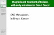 sowie CNS Metastases in Breast Cancer - AGO-Online€¦ · CNS Metastases in Breast Cancer – Incidence Breast cancer is the 2nd most common cause of CNS metastases At autopsy: Parenchymal